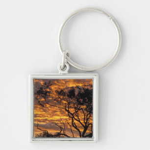 Sunset, Uluru-Kata Tjuta Nationalpark, Schlüsselanhänger