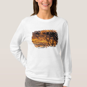 Sunset, Uluru-Kata Tjuta Nationalpark, T-Shirt