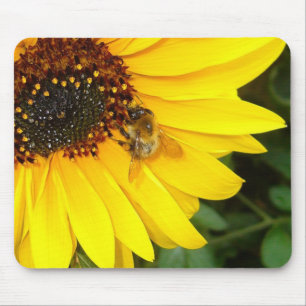 SUNSHINE 4U ~ Mousepad