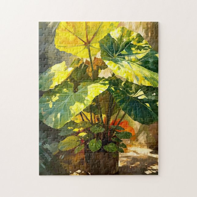 Sunshine Alocasia Pflanze (Vertikal)