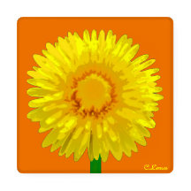 "Sunshine Blume" Untersetzer Set Design.