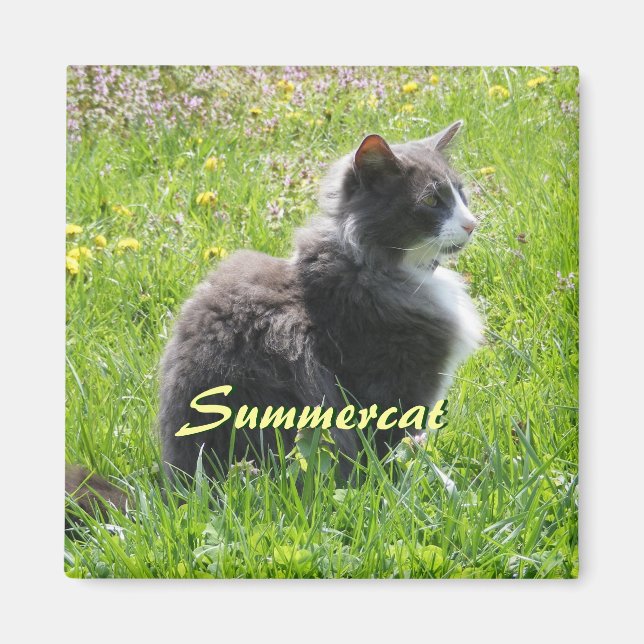 Sunshine Cat Magnet (Vorne)