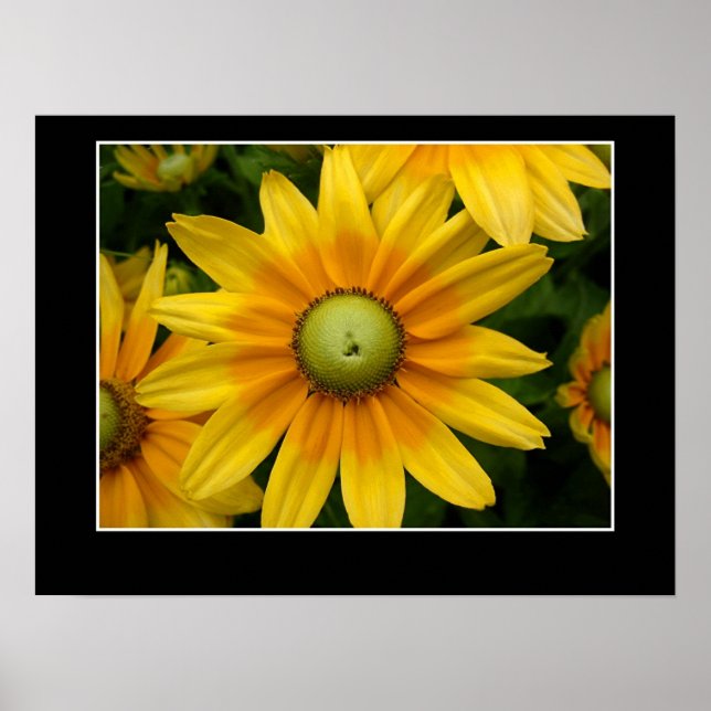 Sunshine II Poster (Vorne)