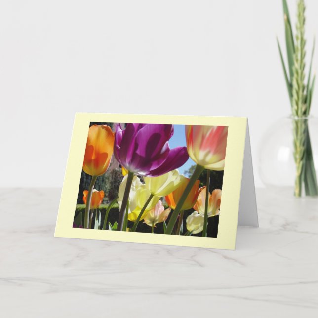 Sunshine Karte (Vorderseite)