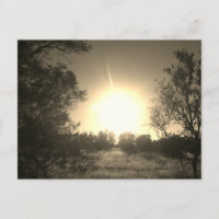 SUNSHINE ÖKO STYLE DESIGN