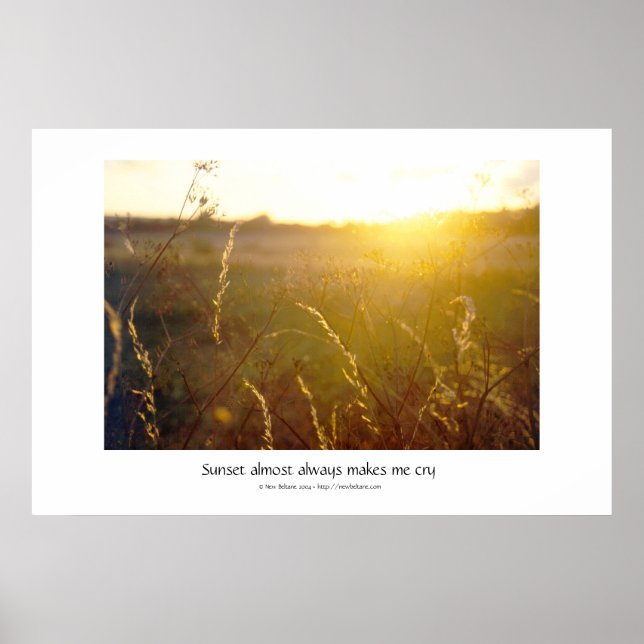 Sunshine Poster (Vorne)