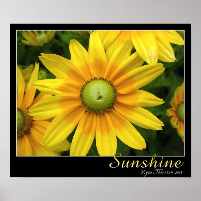 Sunshine Poster (Vorne)