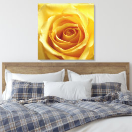 Sunshine Rose Stretched Canvas Print Leinwanddruck
