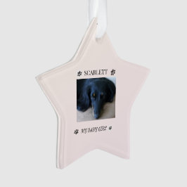 Sunshine Wrapped in Fur Tribute Ornament