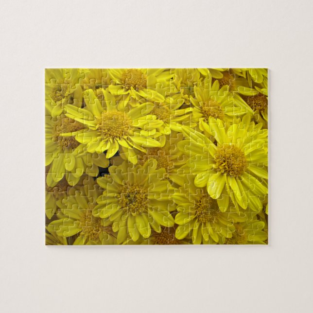 Sunshine Yellow Chrysanthema (Horizontal)