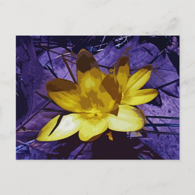 Sunshine Yellow Crocus Postkarte (Vorderseite)