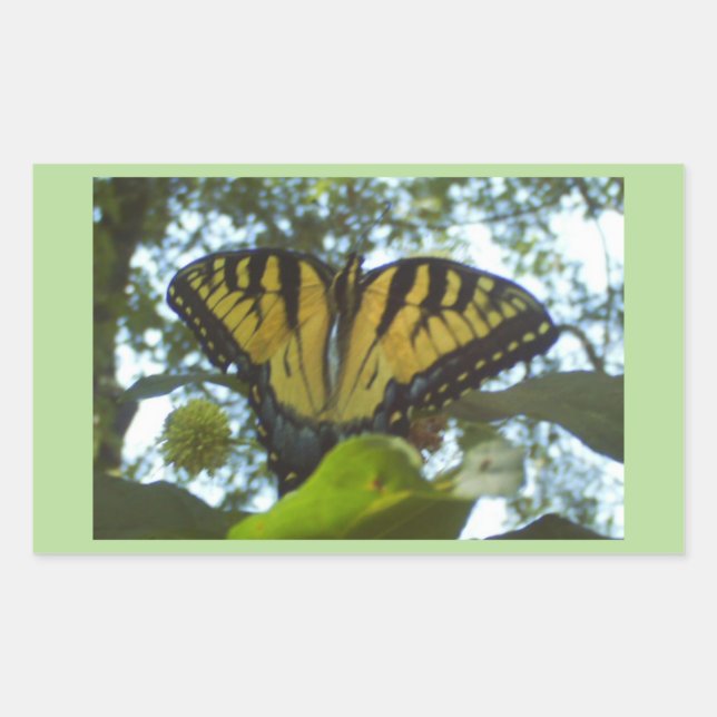 Sunshine Yellow Monarch Rechteckiger Aufkleber (Vorderseite)