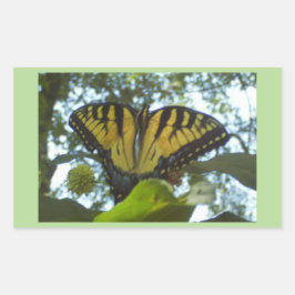 Sunshine Yellow Monarch Rechteckiger Aufkleber