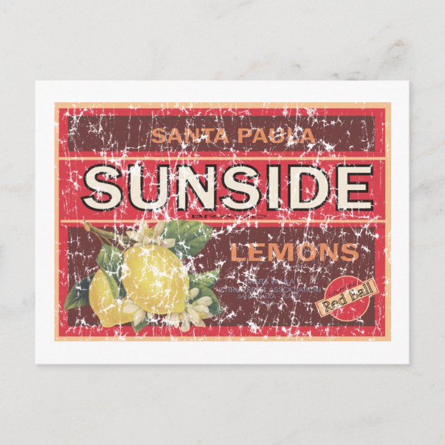 Sunside - Not Postkarte (Vorderseite)