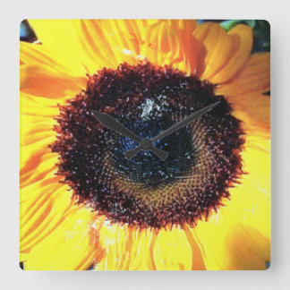 SUNTIME QUADRATISCHE WANDUHR