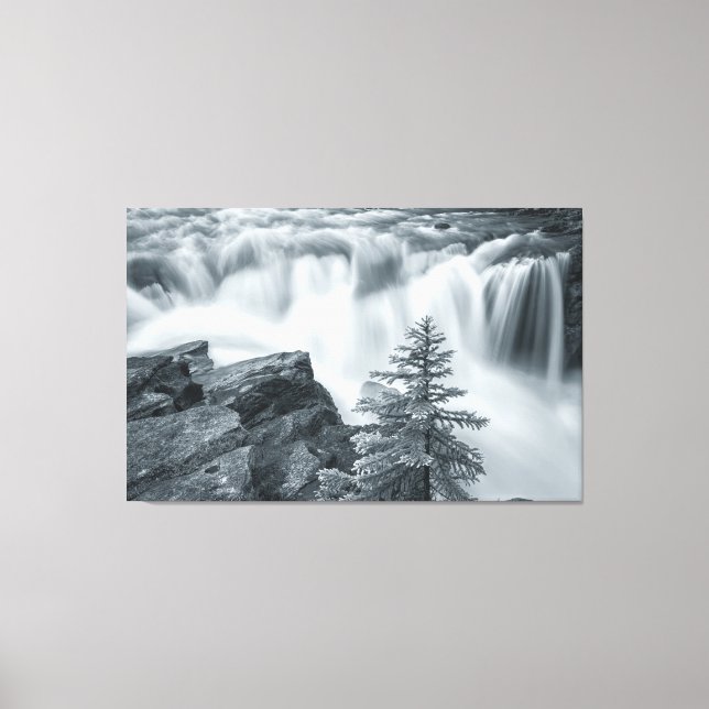 Sunwapta Falls bw Leinwanddruck (Vorderseite)