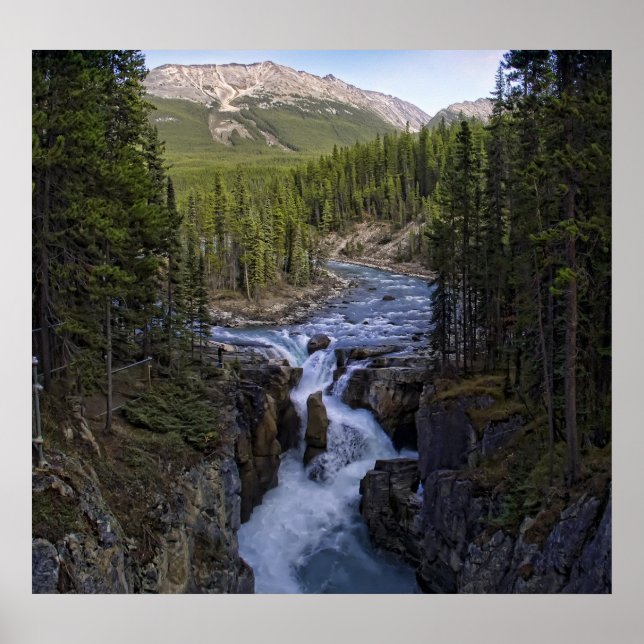 SUNWAPTA FALLS - KANADISCHE ROCKIES POSTER (Vorne)