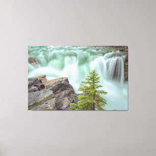 Sunwapta Falls Leinwanddruck
