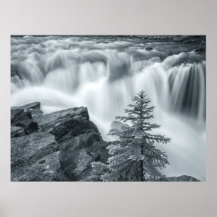 Sunwapta Falls sw Poster