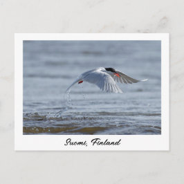 Suomi, Finnland - Naturschutzgebiet Foto Postkarte