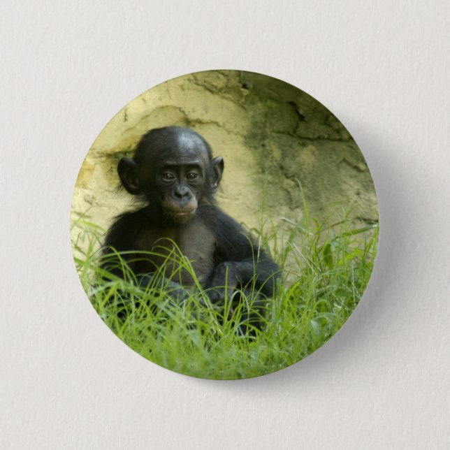 Sup? DArcy Evans Foto Button (Vorderseite)