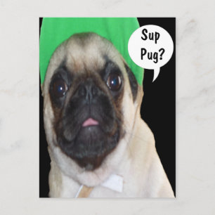 Sup Mops? Postkarte