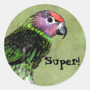 SUPER autocollant récompense avec oiseau Lorikeet