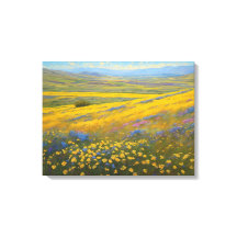 Super Blooms in Kalifornien, Carrizo Plains