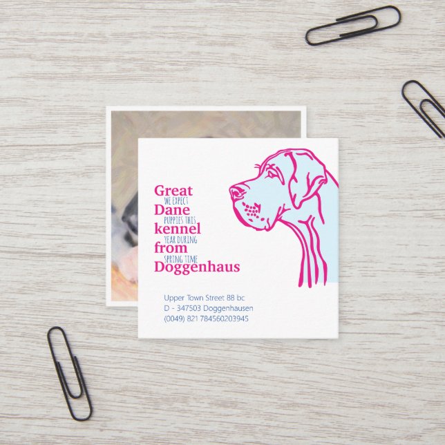 Super chiots Danois pour cartes de vente (Devant/Arrière en situation)
