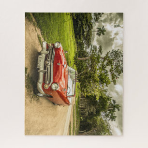 Super cooles vintage Thunderbird-Automobil