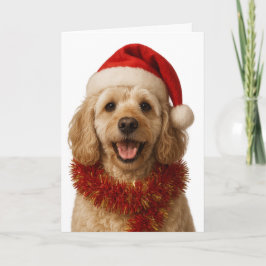 Super cute cream Cockerpoo Christmas card Karte