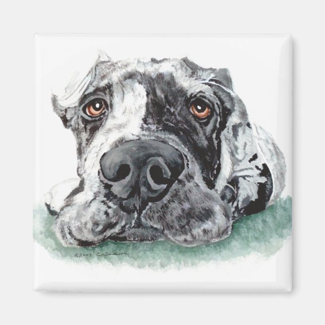 Super Dane aufgeklebt Merle Magnet (Vorne)