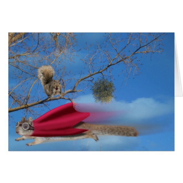 Super écureuil volant (Devant horizontal)