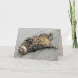 Super Excise Cat Birthday Card Karte