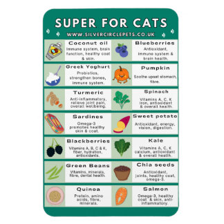 Super Foods for Cats Fridge Magnet