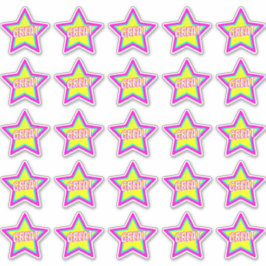 Super Fun Star Teacher Belohnung Kommentar-Aufkleb Aufkleber