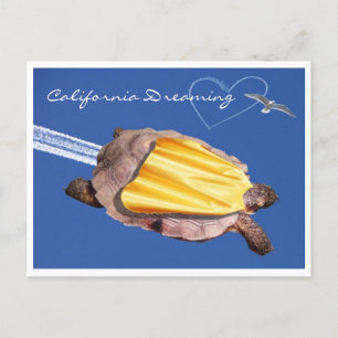 Super! Gammie der kalifornischen Wüste Tortoise Postkarte