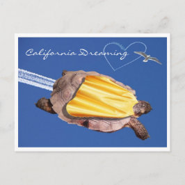 Super! Gammie der kalifornischen Wüste Tortoise Postkarte
