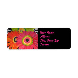 Super Gerbera Daisy Étiquette