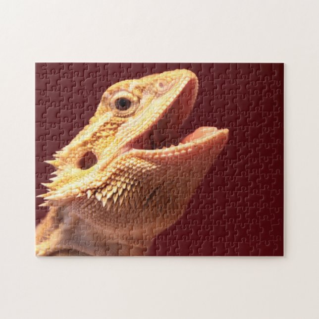 Super glücklicher bärtiger Drache (Horizontal)
