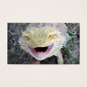Super glücklicher bärtiger Drache