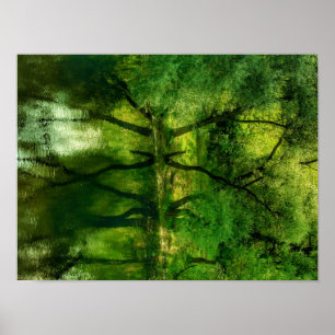 Super Green River Trees Spiegelung A3 Poster