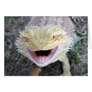Super Happy Bartded Dragon