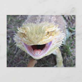 Super Happy Bartded Dragon Postkarte