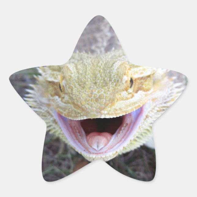 Super Happy Bartded Dragon Stern-Aufkleber (Vorderseite)