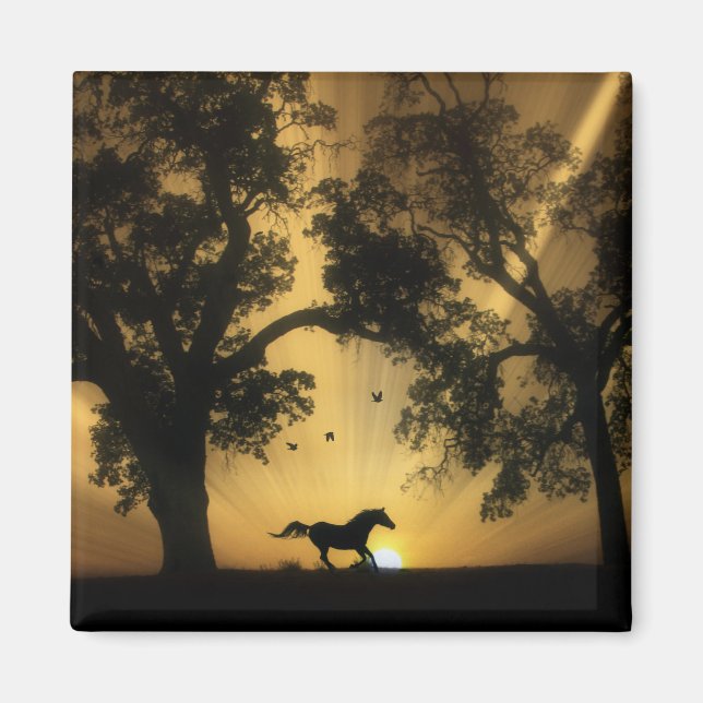 Super Hübsch Galloping Free Horse Magnet (Vorne)