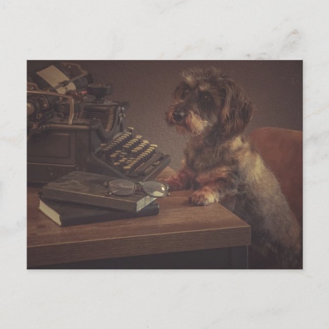 Super leuke teckel kaart postkarte (Vorderseite)