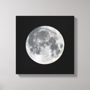 Super Mond   Mendota Heights Minnesota Leinwanddruck