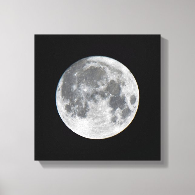 Super Moon | Mendota Heights Minnesota Leinwanddruck (Vorderseite)
