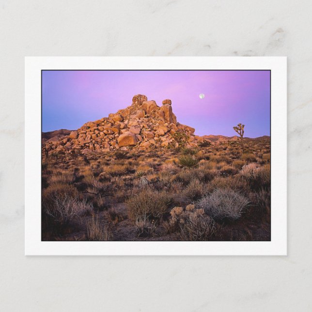 " Super-Moon Morning " Postkarte (Vorderseite)